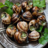 Snails in Garlic Butter 156g, 12 in a pack